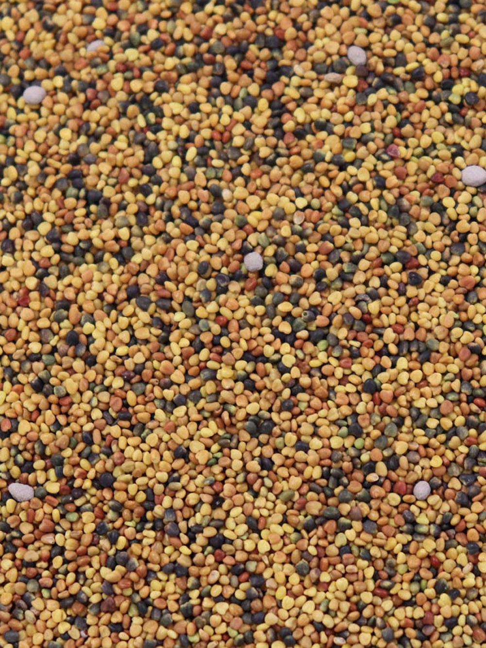 Premium White Clovers Mix